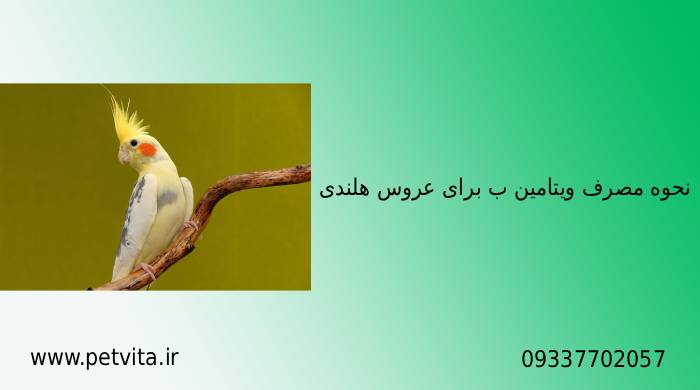 مصرف ویتامین ب